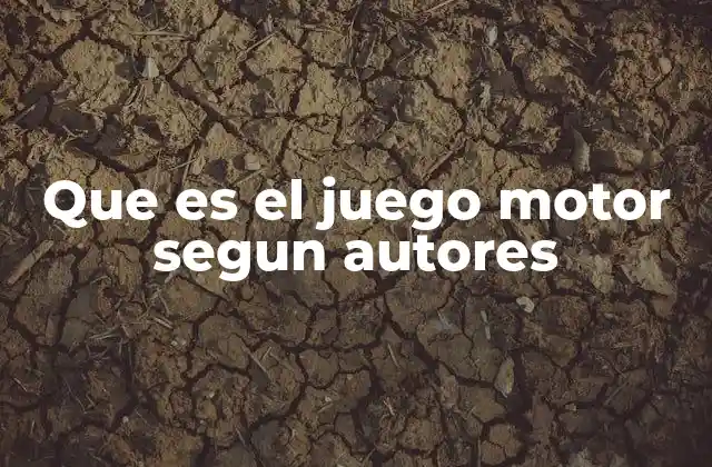 Que es el Juego Motor Segun Autores