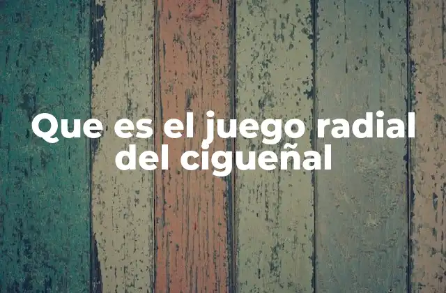Que es el Juego Radial Del Cigueñal
