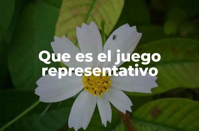 Que es el Juego Representativo