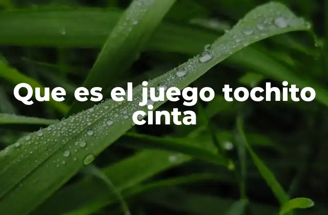 Que es el Juego Tochito Cinta 2 El arte del lanzamiento y la coordinación en el juego de la cinta