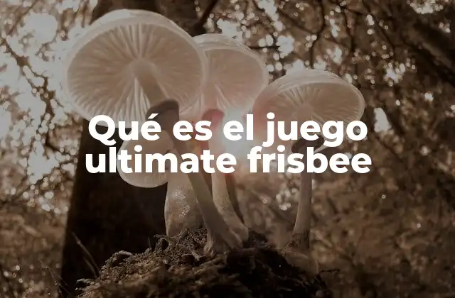 Qué es el Juego Ultimate Frisbee 2 El espíritu del juego: fair play y autogestión