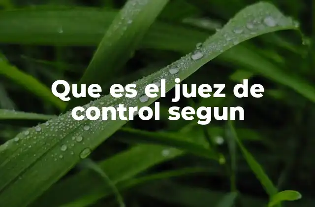 Que es el Juez de Control Segun