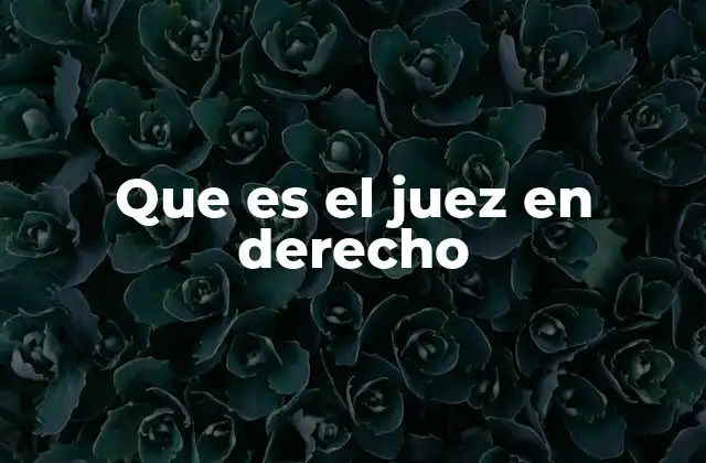 Que es el Juez en Derecho 2 La importancia del juez en el sistema legal
