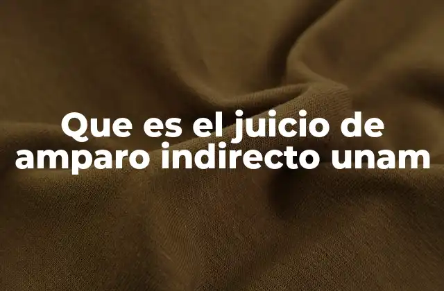 Que es el Juicio de Amparo Indirecto Unam 2 El papel de los estudiantes en el sistema legal universitario