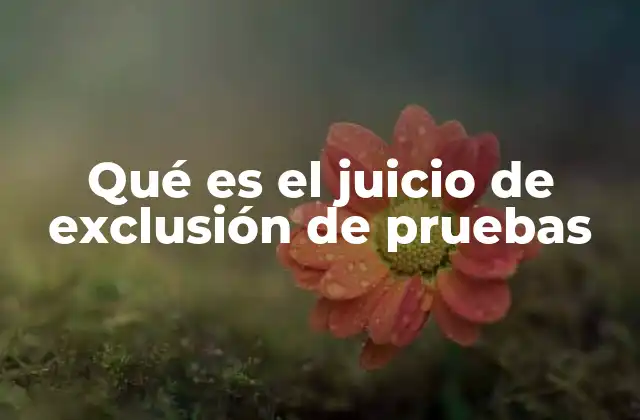 Qué es el Juicio de Exclusión de Pruebas