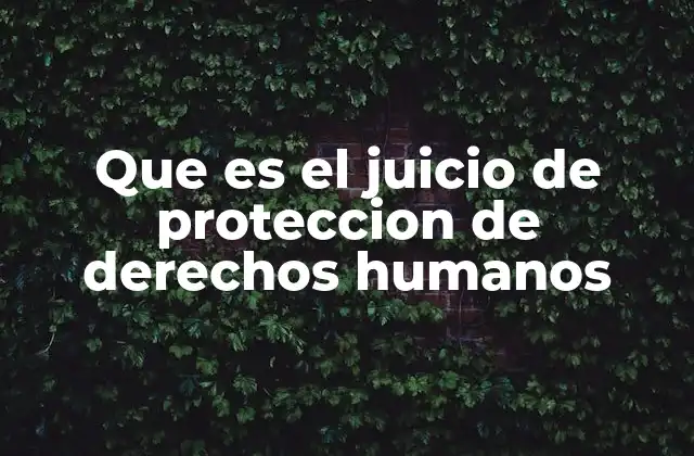 Que es el Juicio de Proteccion de Derechos Humanos