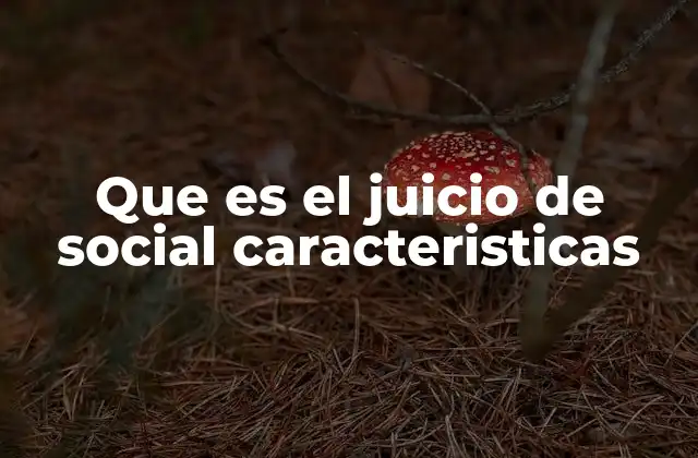 Que es el Juicio de Social Caracteristicas