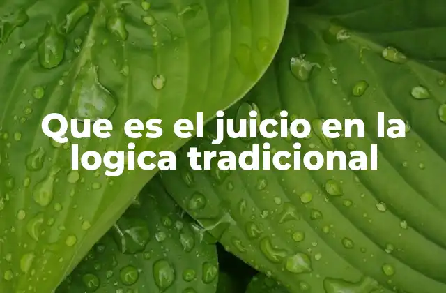 Que es el Juicio en la Logica Tradicional 2 El juicio como base del razonamiento humano
