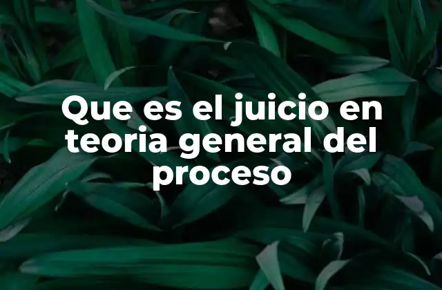 Que es el Juicio en Teoria General Del Proceso
