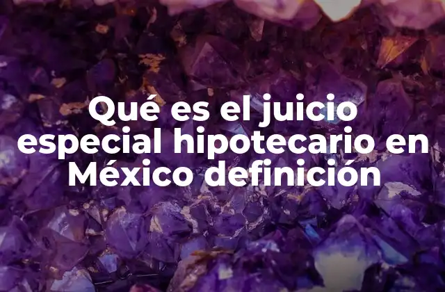 Qué es el Juicio Especial Hipotecario en México Definición