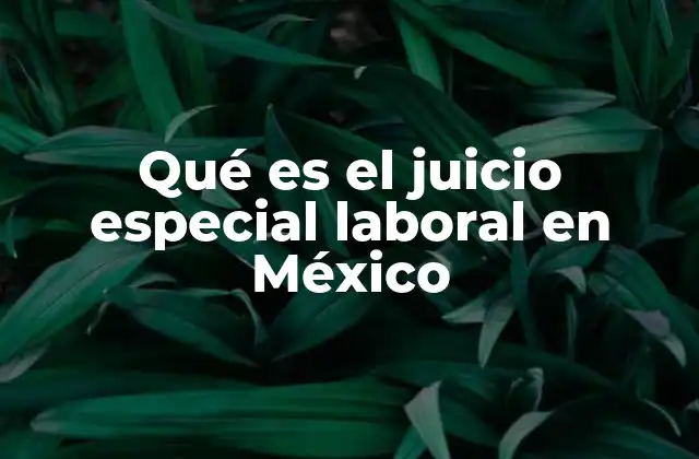 Características del juicio especial laboral