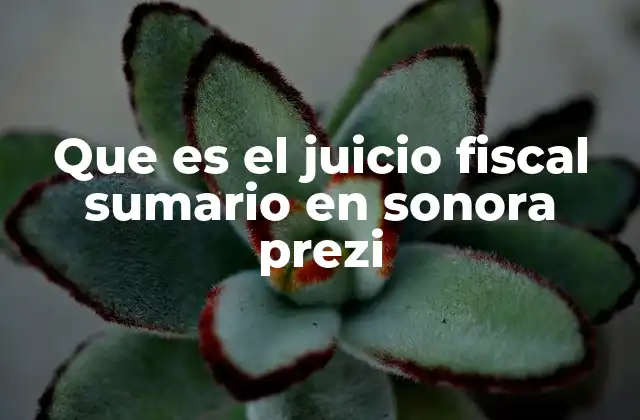 Que es el Juicio Fiscal Sumario en Sonora Prezi