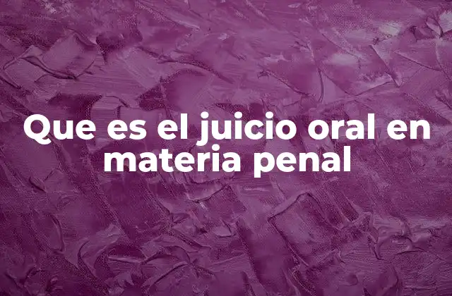 Que es el Juicio Oral en Materia Penal