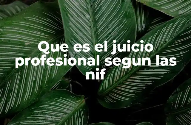 Que es el Juicio Profesional Segun las Nif