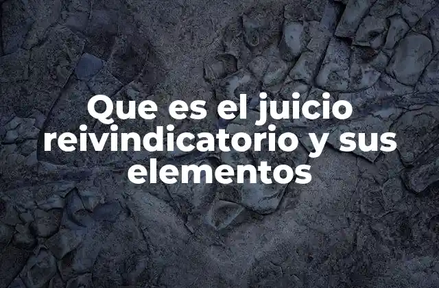 Que es el Juicio Reivindicatorio y Sus Elementos 2 El derecho a la propiedad y la protección judicial