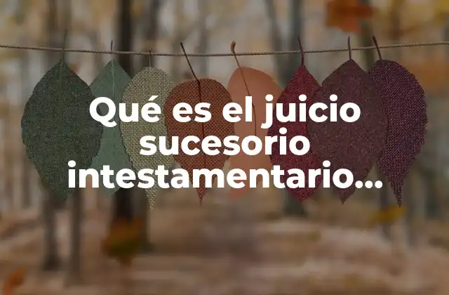 Qué es el Juicio Sucesorio Intestamentario Definición