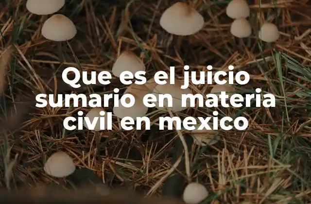 Que es el Juicio Sumario en Materia Civil en Mexico