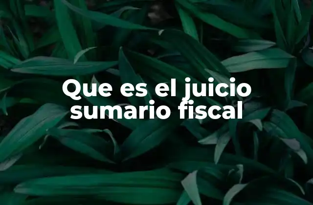 Que es el Juicio Sumario Fiscal