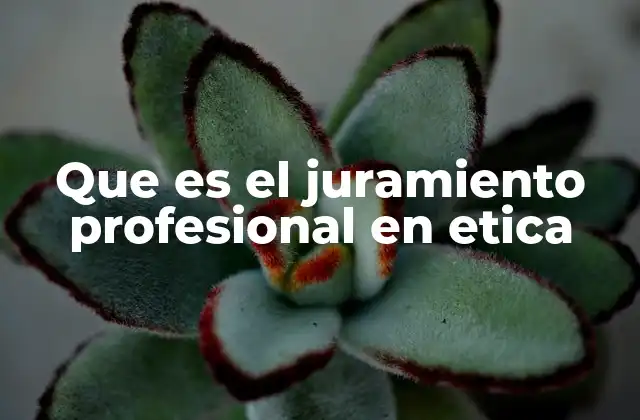 Que es el Juramiento Profesional en Etica