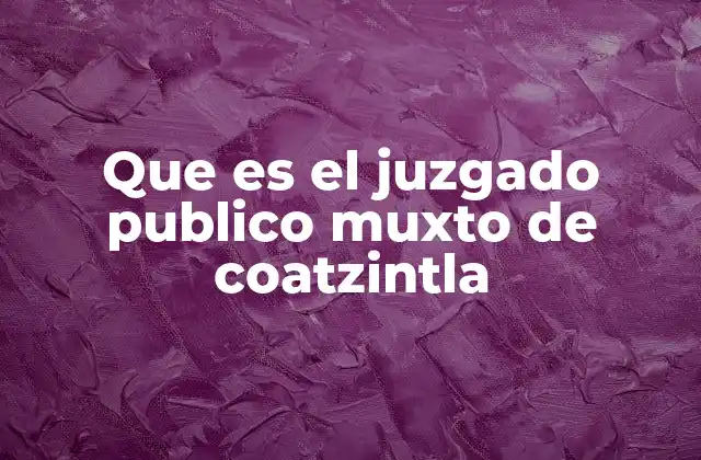 Que es el Juzgado Publico Muxto de Coatzintla