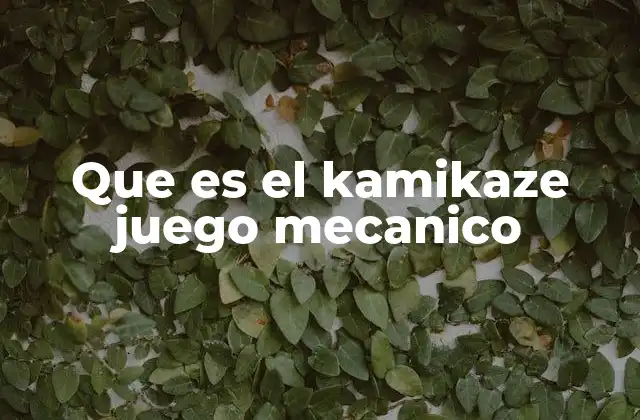 Que es el Kamikaze Juego Mecanico