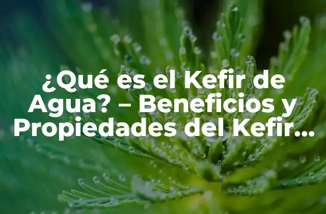 ¿qué es el Kefir de Agua? – Beneficios y Propiedades Del Kefir de Agua