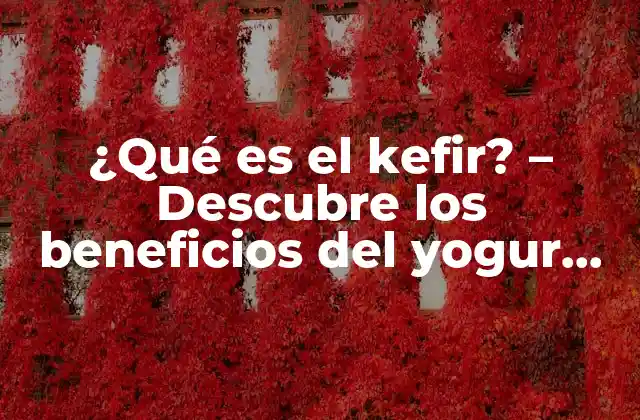 ¿qué es el Kefir? – Descubre los Beneficios Del Yogur Probiótico