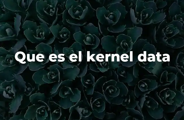 Que es el Kernel Data