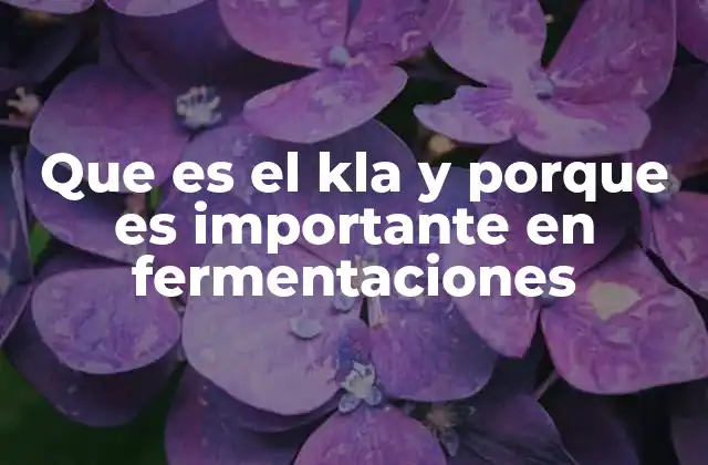Que es el Kla y Porque es Importante en Fermentaciones