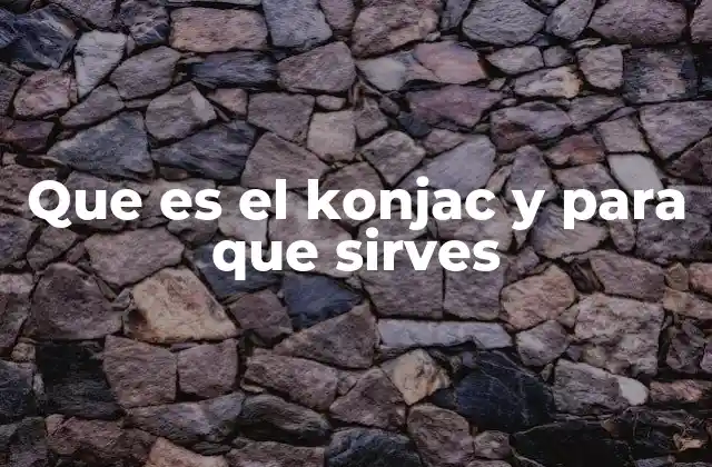 Que es el Konjac y para que Sirves