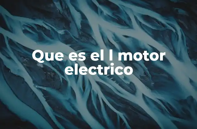 Que es el L Motor Electrico