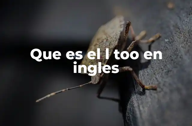 El adverbio too y sus múltiples usos en inglés