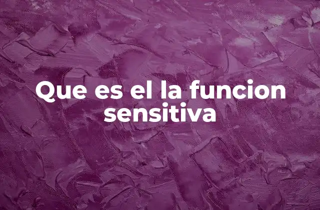 Que es el la Funcion Sensitiva