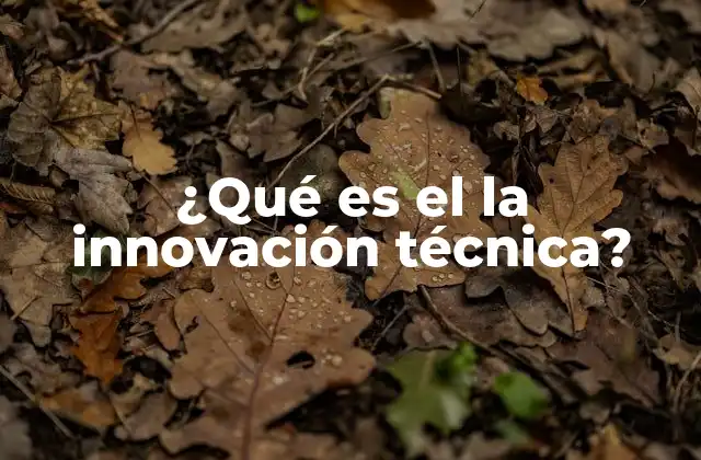 ¿qué es el la Innovación Técnica?