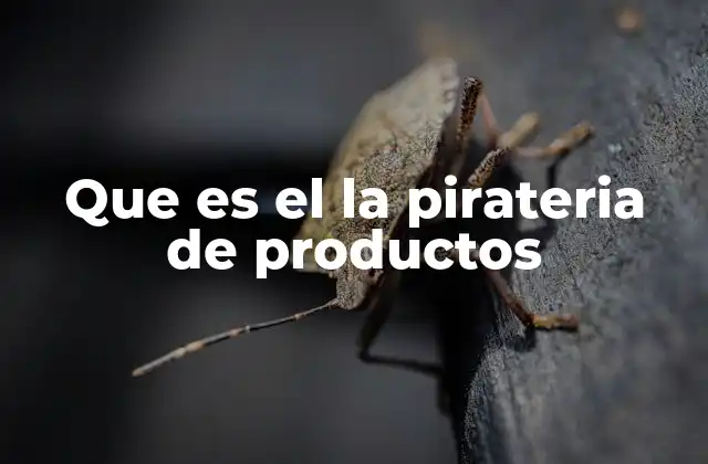 Que es el la Pirateria de Productos