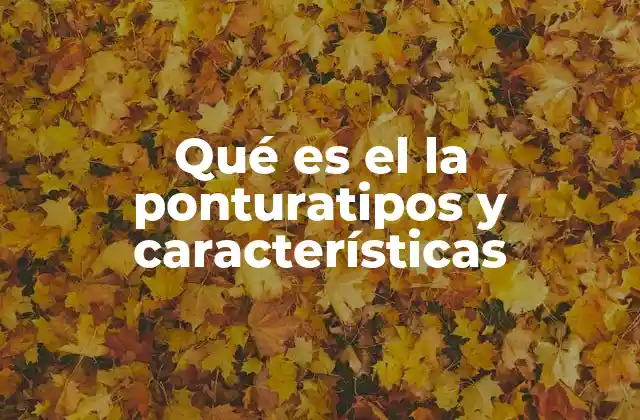 Qué es el la Ponturatipos y Características