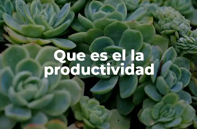 Que es el la Productividad