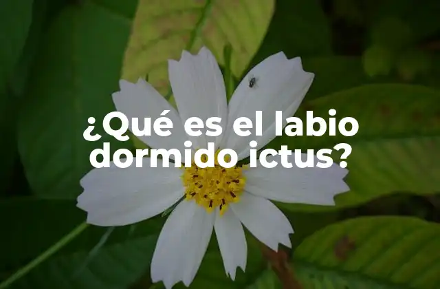 ¿qué es el Labio Dormido Ictus?