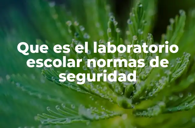 Que es el Laboratorio Escolar Normas de Seguridad