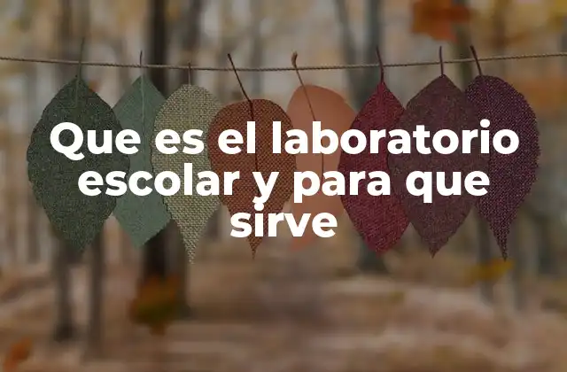 Que es el Laboratorio Escolar y para que Sirve