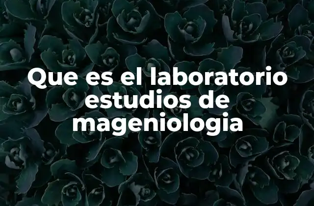 Que es el Laboratorio Estudios de Mageniologia