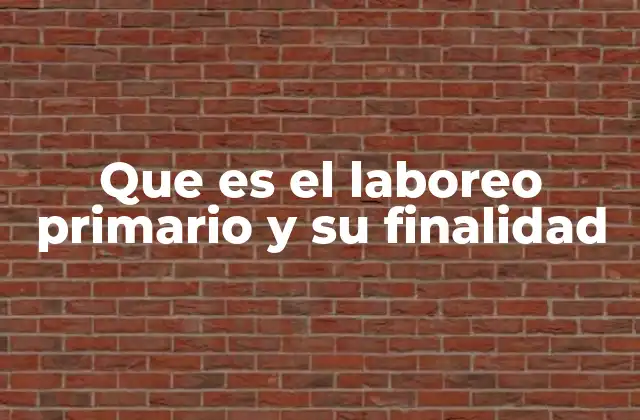 Que es el Laboreo Primario y Su Finalidad