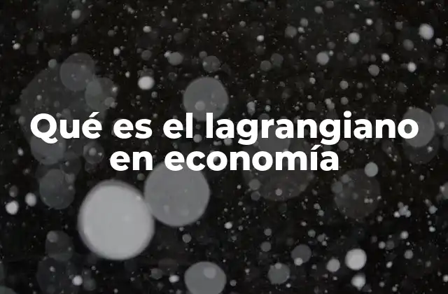 Qué es el Lagrangiano en Economía