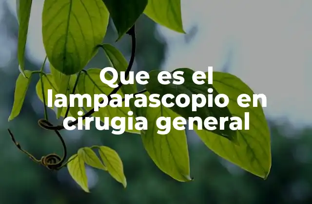 Que es el Lamparascopio en Cirugia General