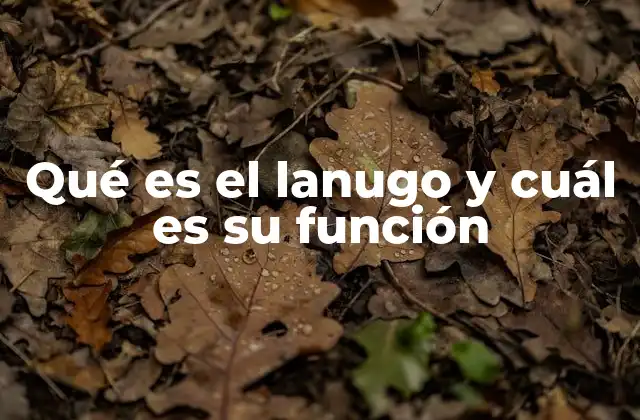 Qué es el Lanugo y Cuál es Su Función