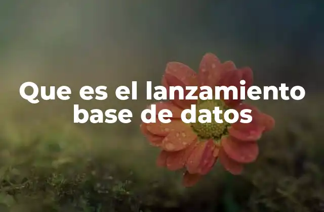 Que es el Lanzamiento Base de Datos