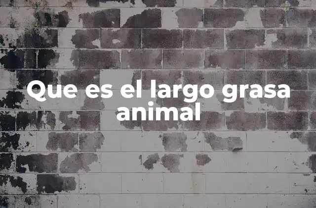 Que es el Largo Grasa Animal