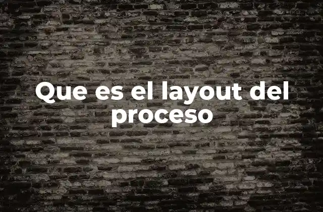 Que es el Layout Del Proceso