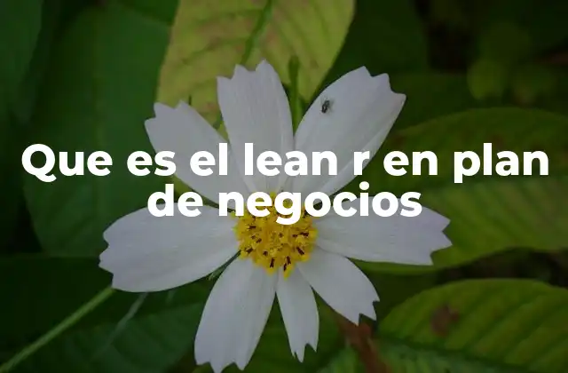 Que es el Lean R en Plan de Negocios