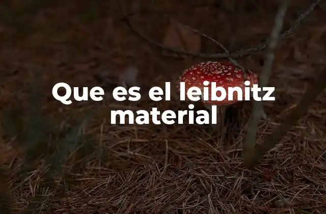 Que es el Leibnitz Material